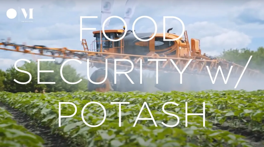 O|M - Home of the 6 Minute CEO tweet media