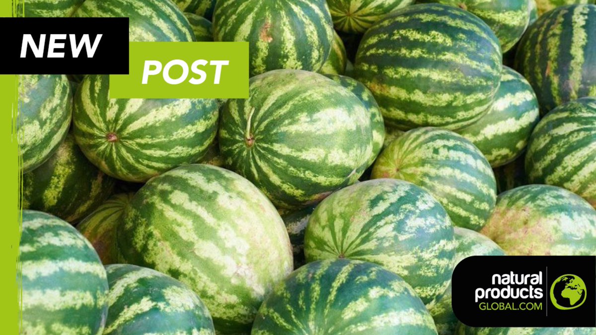 The EPO rejected opposition to BASF's watermelon patent (EP2814316), challenged by No Patents on Seeds! for lack of inventiveness and breaching plant variety patent rules. Source - Bio Eco Actual. Find out more: ow.ly/XZr350PNbtp