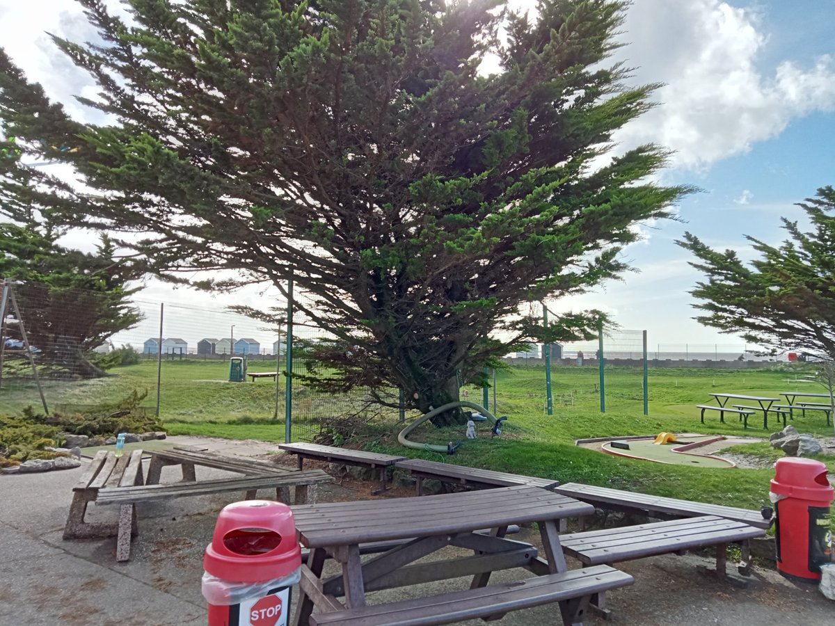 MiniLinks® FLEETWOOD tweet media