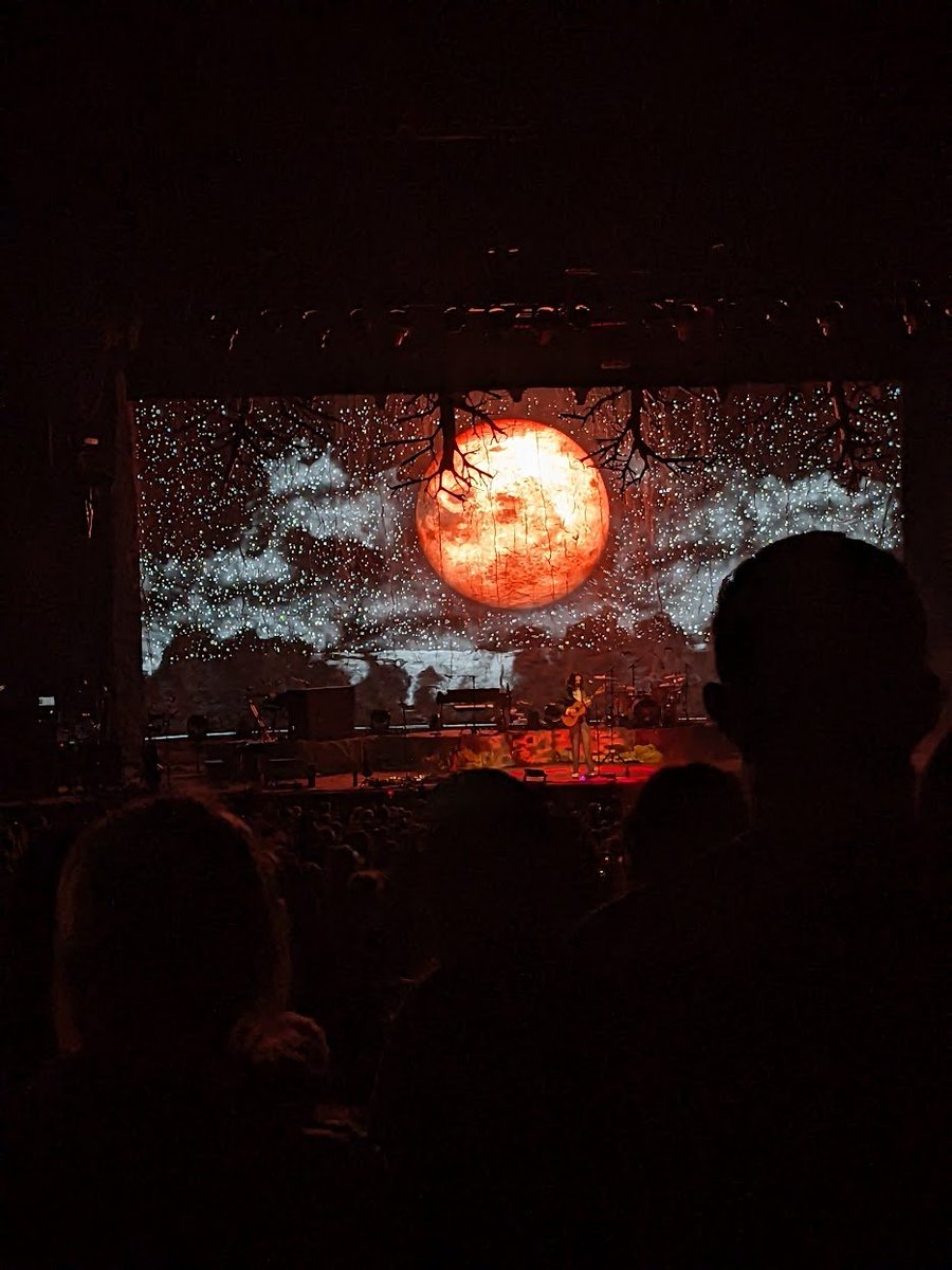 cgruenbauer's tweet photo. it's been a pretty great month so far 

sept 1 - @NoahKahan in Syracuse, NY
sept 19 - @Hozier in Toronto, ON https://t.co/fZIQgEAMQp