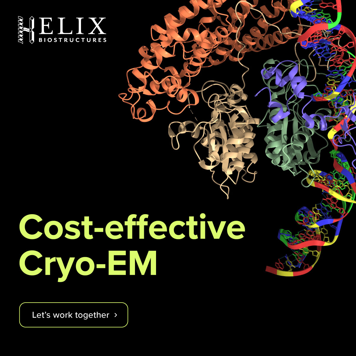 HLXBIO's tweet image. Gaining access to data shouldn’t come with unnecessary hurdles or high price points. We&apos;re here to make Cryo-EM affordable and accessible, ensuring everyone can tap into its incredible potential. 
#CryoEM #ElectronMicroscopy #SingleParticleAnalysis #CryoElectronMicroscopy