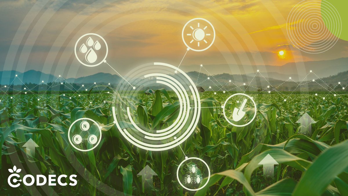 HORIZONCODECS's tweet photo. What is the role of #CODECS? 🌱
  
The goal of the project is to foster the growth of digital ecosystems that  maximise the benefits of #SustainableDigitalisation in agriculture.🌐   
  
Learn more 👉 https://t.co/yyy7kt36Mh https://t.co/JXI3nRAPYA