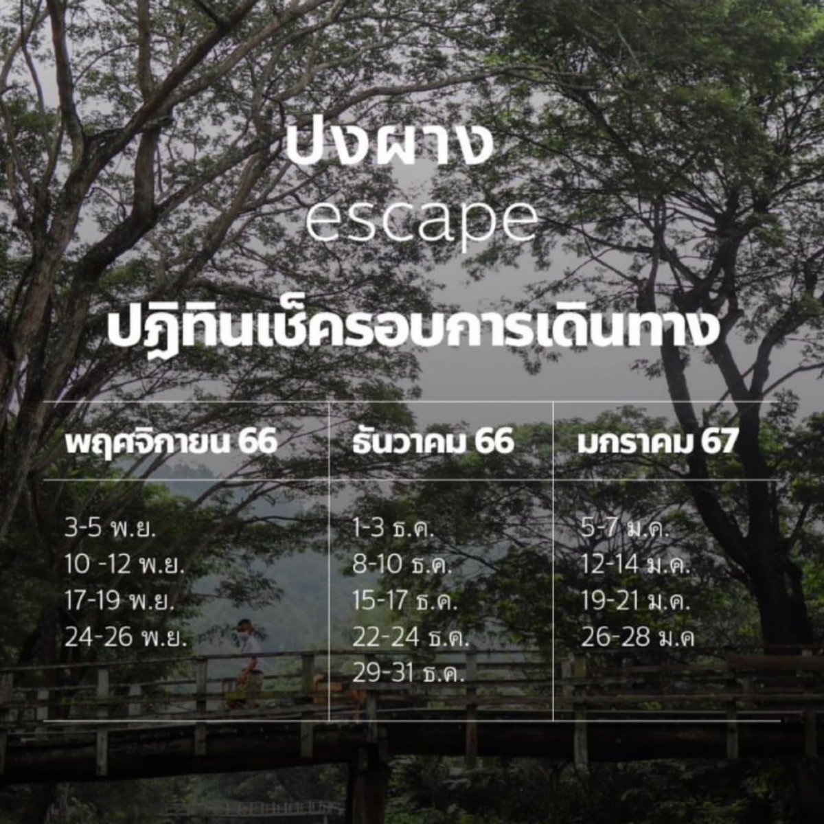 ShirtPaganda's tweet photo. มาสนับสนุนงานของ #ช่อพรรณิการ์ เพื่อเป็นกำลังใจให้พี่ช่อกัน

ท่องเที่ยวชุมชน โดยเทศบาลตำบลทากาศดหนือและคณะก้าวหน้า #ปงผางescape 

กลับมาแล้ว พร้อมแพ็คเกจทัวร์ท่องเที่ยวชุมชนปกาเก อะญอ (ผาด่าน - แม่สะแงะ - ปงผาง) 

การ��่องเที่ยวชุมชนที่จะพาทุกคนเดินทางไปพบเพื่อนใหม่ในหมู่บ้าน เล็กๆ กลางหุบเขา ค้างคืนท่ามกลางบรรยากาศป่า ฟังเสียงลำธาร นอน มองแพดาว ณ ต.ทากาศ อ.แม่ทา จ.ลำพูน 

🏡บ้านพักโฮมสเตย์ 
🏕️ ลานกางเต็นท์ 
💵 ทริป: 3 วัน 2 คืน ในราคาเพียง 3,950 บาท / คน (รวมค่าที่พัก 2 คืน, ไกด์ท้องถิ่น และอาหารทุกมื้อในทริป)

 จํากัดเพียง 13 ทริป (พฤศจิกายน 2566-มกราคม 2567) 

📍 เปิดจองตั้งแต่ 1 กันยายน 2566 เป็นต้นไป ติดตามรายละเอียดและเช็ครอบการเดินทางได้เร็วๆ นี้ ✨

Line: @tour_pongphang หรือจิ้มลิ้งก์ https://t.co/bQLmJ15gIB~

#ท่องเที่ยวชุมชน #unseenthailand #คณะก้าวหน้า