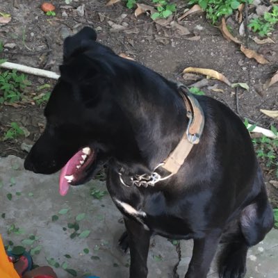 deva5555's tweet photo. #NewProfilePic https://t.co/nuaKSFDlaN
