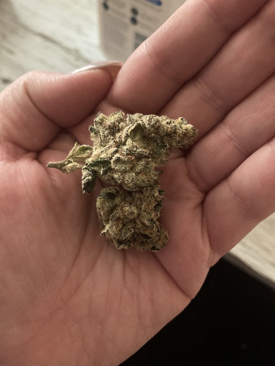 𝒞𝒶𝓁𝓏𝓏𝓏 🌻 tweet media