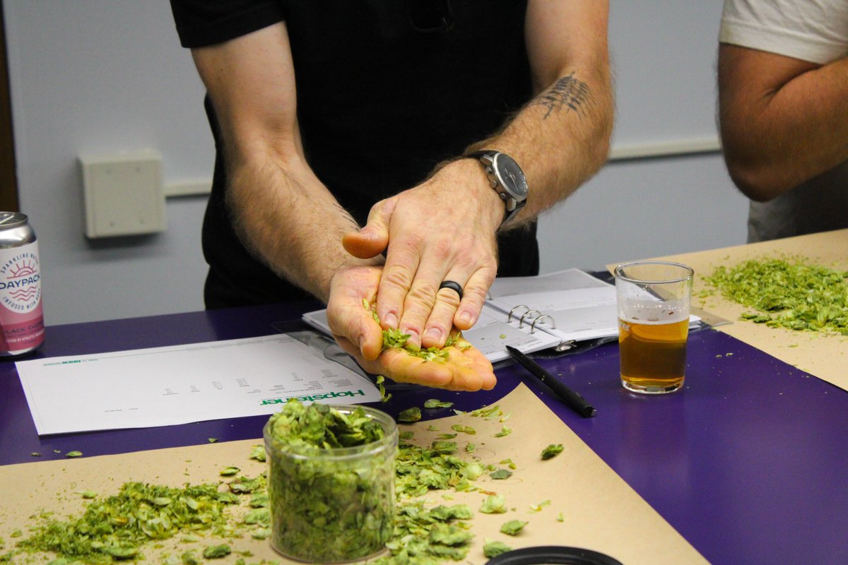 Crafting the perfect beer starts with the art of hop selection. These brewers are on a mission to find the finest hops, and we’re happy to say they’re in the right place! Big thanks to all the brewers that have made the trek out here! 🤝🍻