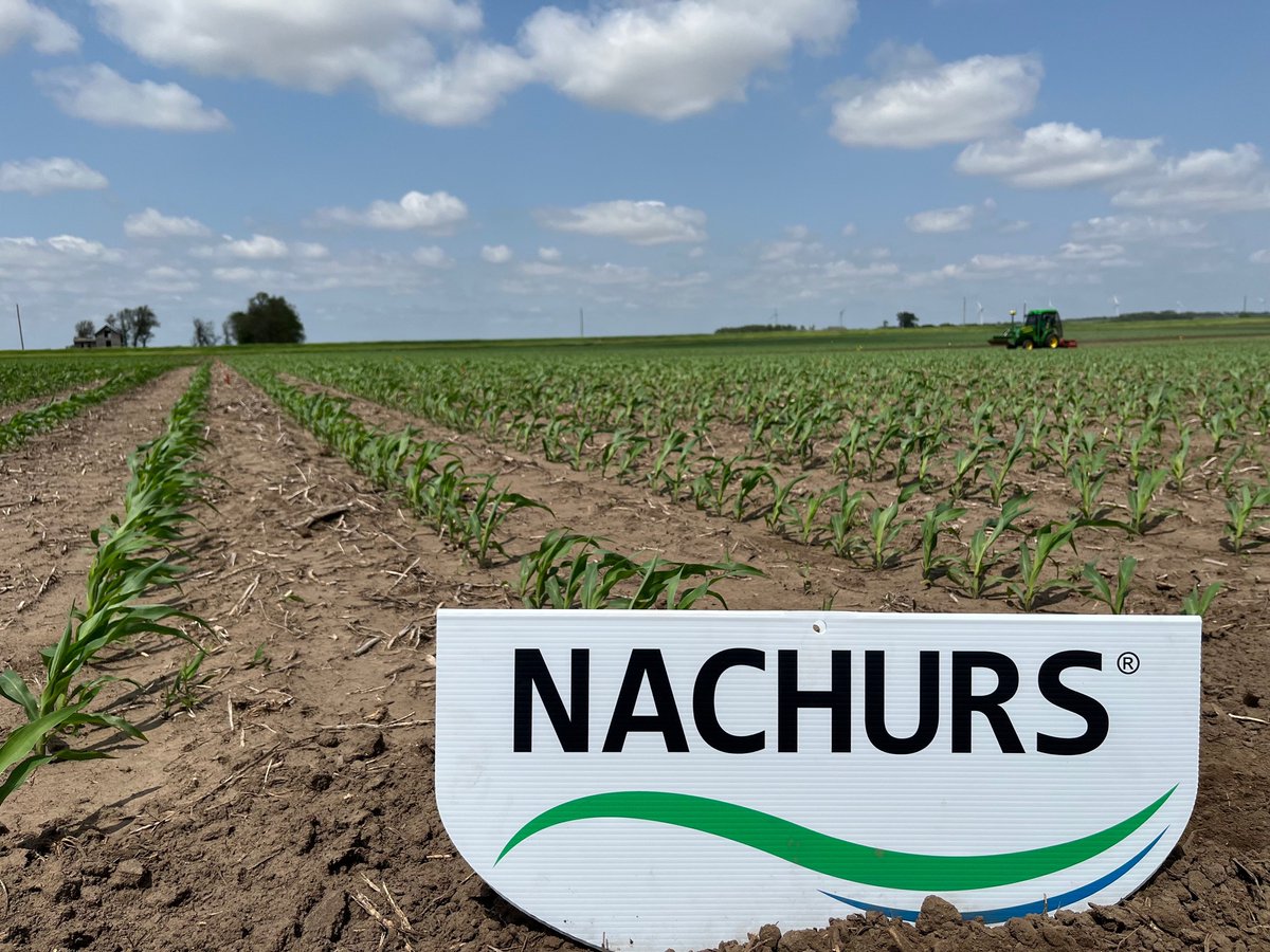 Reallocation is all about balance, ensuring your crops have the nutrients they need throughout all growth stages. Click the link to find out more about balanced plant nutrition! 🌱#NACHURS #Reallocation

nachurs.com/balanced-nutri…