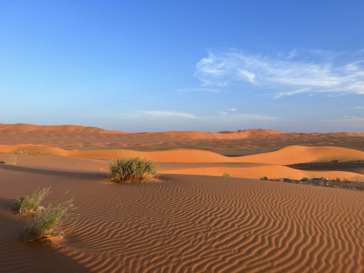 #محمية_عروق_بني_معارض #نجران_الان  #يدمة #صورة_اليوم #الطبيعة