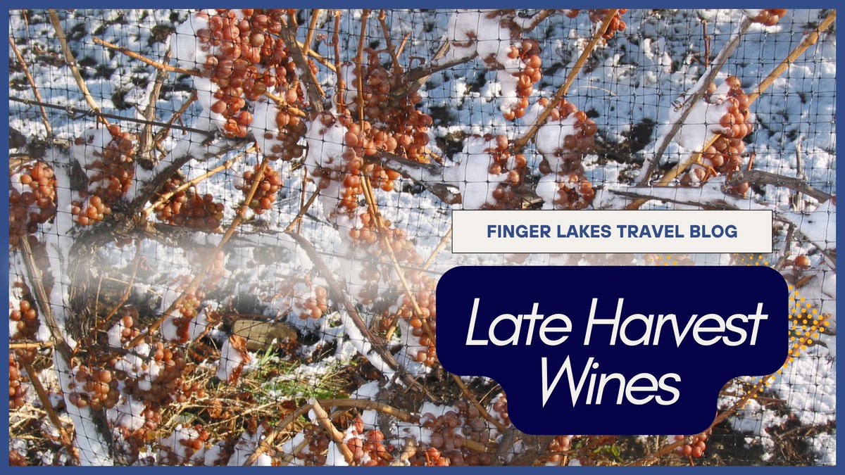 Properly prepare for the most decadently sweet time of year by learning more about late harvest/ice wines when you click through to read our latest blog post that covers the process from harvest to being served up in your glass. fingerlakes.org/node/40510