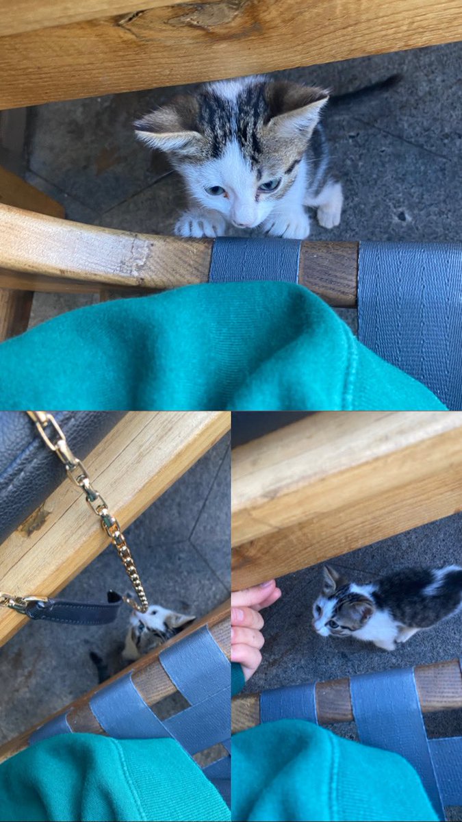 Kahveme eşlikçi boncuk göz