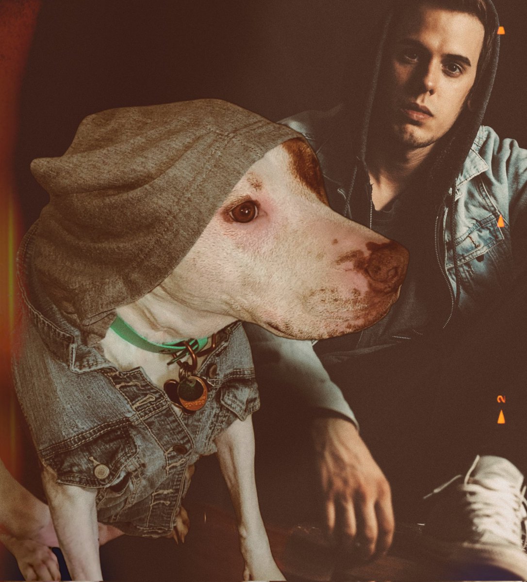 Who wore it better? 🐾 🩷 📸 
Comment &amp; Share! 👇🏼👇🏼👇🏼
.
.
.
.
#pit #pittie #pitty #pittynation #pitbull #pitbullsofinstagram #pitbulllove #dog #denim #hood #whoworeitbetter #wear #trending #gooddog #best #bradly #pretty #girl #goodgirl #babygirl #humpday #happy #model #thuglife