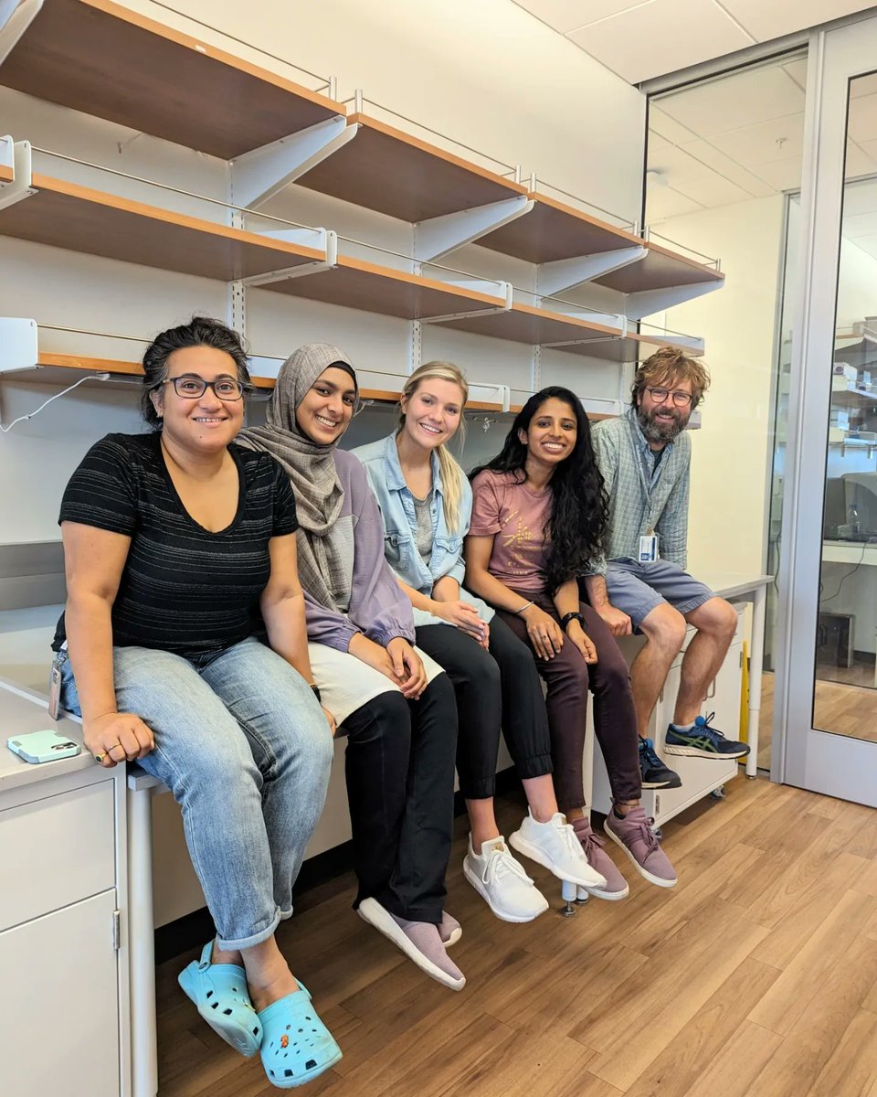 LabVarner's tweet image. Wet lab laborers at work! 

#moveday #emptylab #labmoving #utsw #utswbme #newbuilding #labmates 

@bme_utd @UTSWGradSchool
