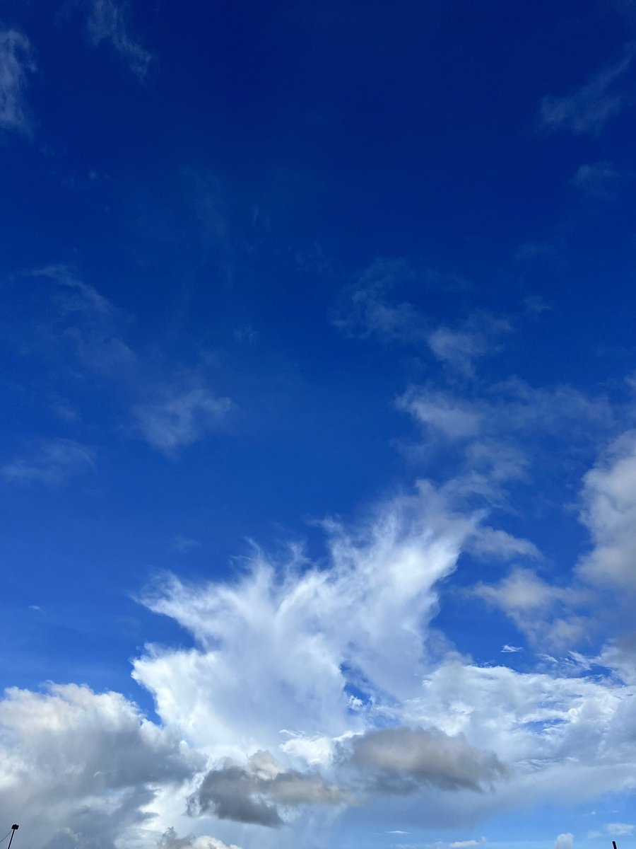 Look there’s a W

#shotoniphone #shotoniphone13pro #afternoon #cloud #nature #naturelovers #clickoftheday #vsco #vscocam #pune #punediaries #puneclickarts #picoftheday #sopune #sky #skylove #skyview #pune #chasingclouds #chasingsky #skyline #cotton #blue #white #feather #clouds