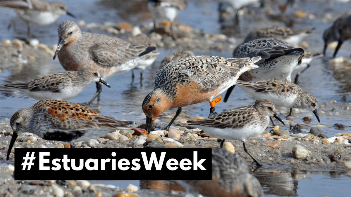 The Land Conservancy of New Jersey tweet media