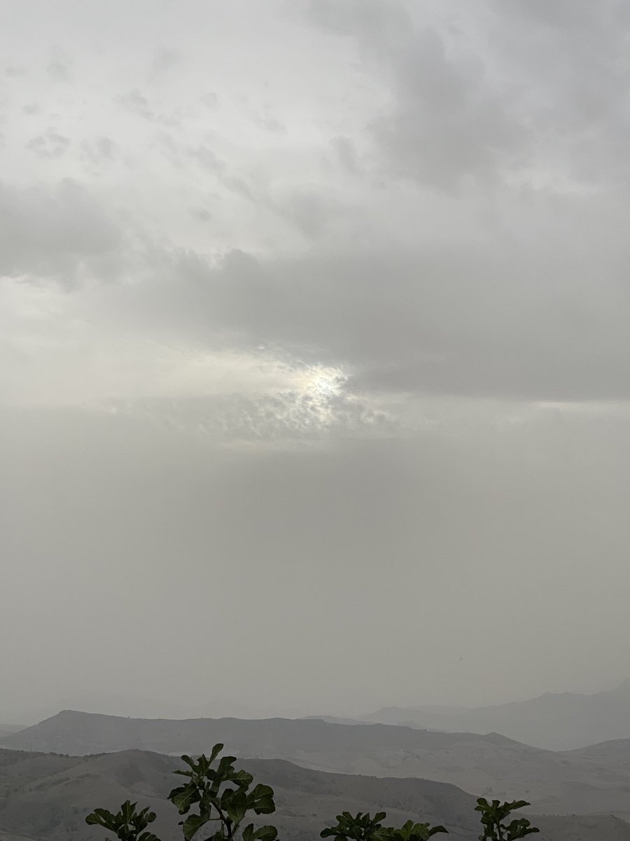 Lino_Scaccia's tweet photo. Buona serata .. anche i tramonti hanno ceduto il passo alla calura e alla nebbia africana.. stiamo patendo .. e siamo un po’ spossati! attendiamo che arrivi l’autunno.. si l’ho detto.. lo preferisco di gran lunga🥵
#BuonaSerata #BuonaSerataATutti #sispera #giornatapesante https://t.co/hptcJbXwjo