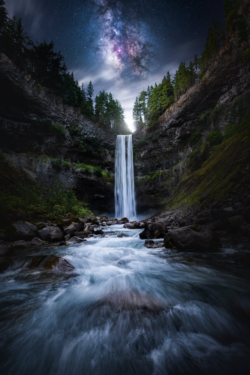 ✞ Daniel tweet media