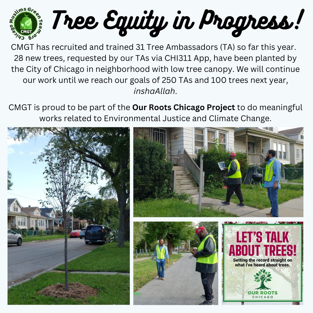 ChiMuslimsGreen's tweet photo. We are proud to be part of the Our Roots Chicago Project:
https://t.co/omRIsMN7M9

Thank you, Masjid Al Farooq for being our great partner in greening our neighborhood.

For more info on our TA Program:
https://t.co/vtH5qucje3 https://t.co/03tpABJAIM