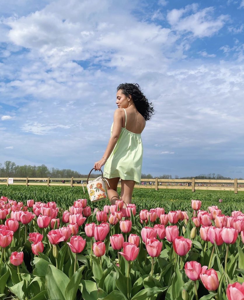 Emma53438405's tweet photo. Lost in a sea of tulips🌷

( This dress is actually a romper and it’s my favorite thing ever 💚) https://t.co/D5ncrg2FYg