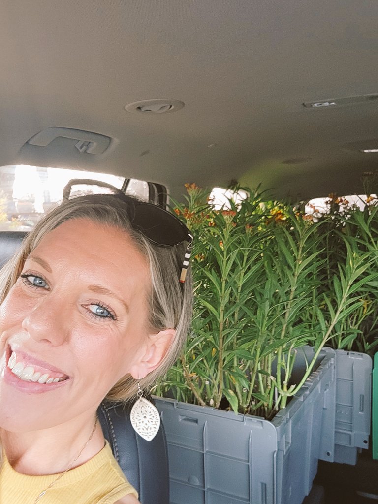 Amanda Dickson tweet media