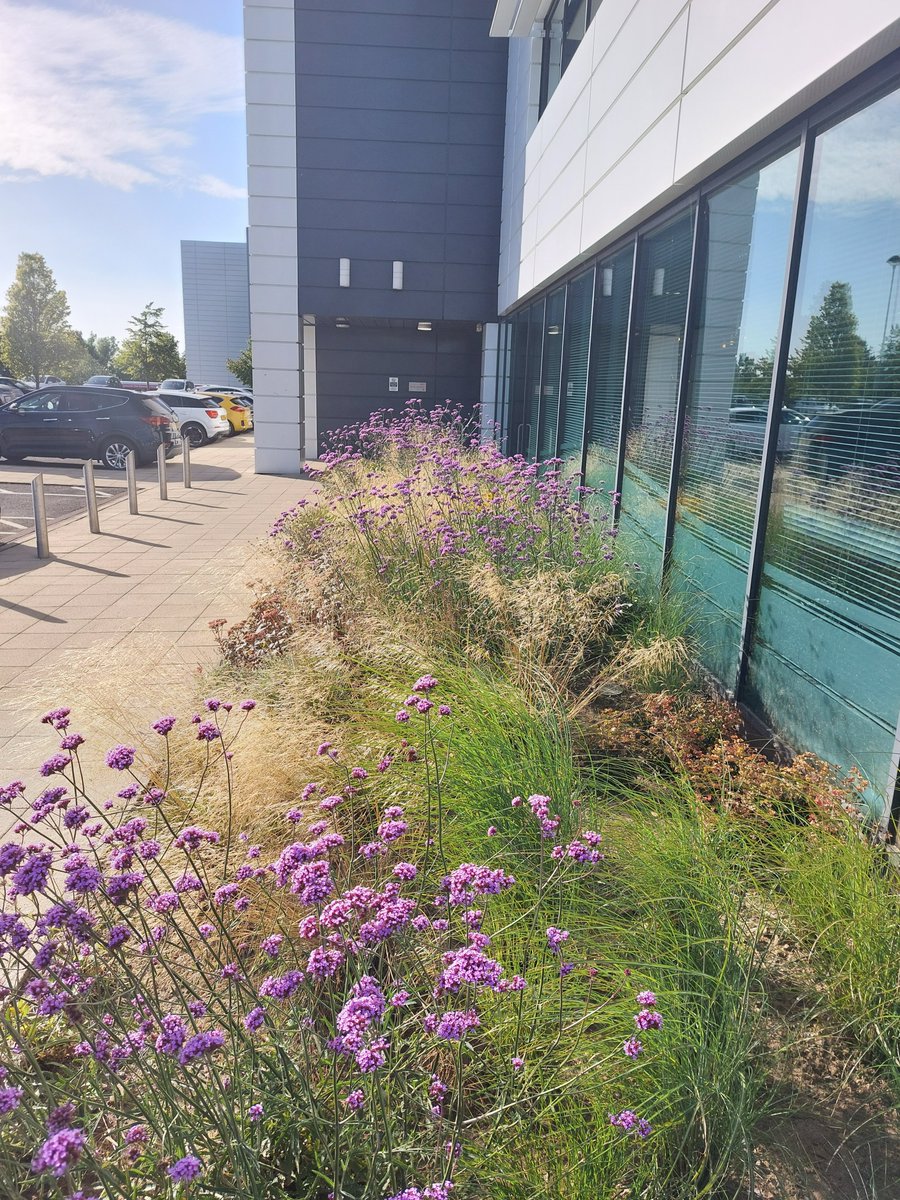 Maxim Park tweet media