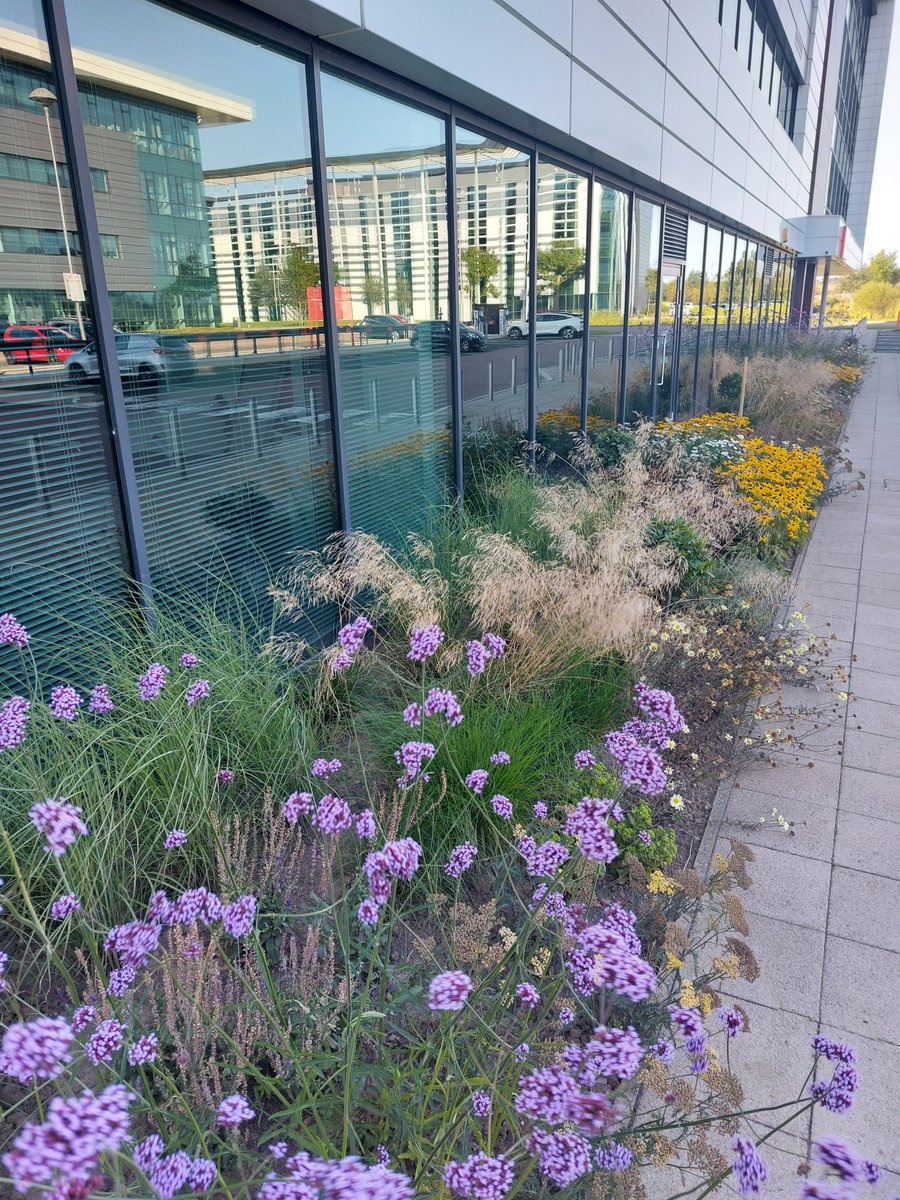 Maxim Park (@maximscotland) on Twitter photo The Maxim Park management team together with our valued partners at <a href="/GPPlantscape/">GP Plantscape</a> are delighted to announce that we have won a British Association of Landscape Industries National Landscape Award! Congratulation to all the winners! Find out more at: lnkd.in/erDqFywb The Maxim Park management team together with our valued partners at <a href="/GPPlantscape/">GP Plantscape</a> are delighted to announce that we have won a British Association of Landscape Industries National Landscape Award! Congratulation to all the winners! Find out more at: lnkd.in/erDqFywb