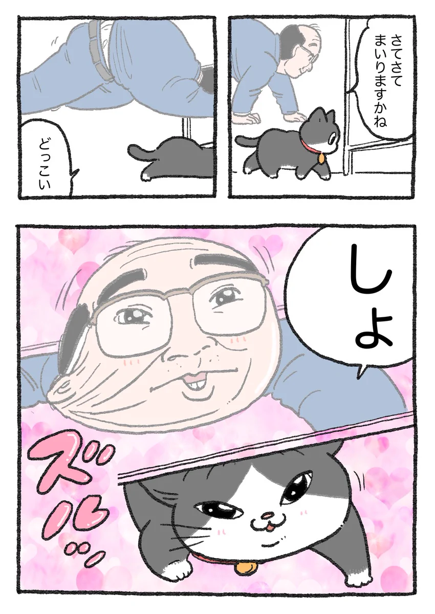 やじま@ねこおじ7・8巻発売中🐱 on X: 