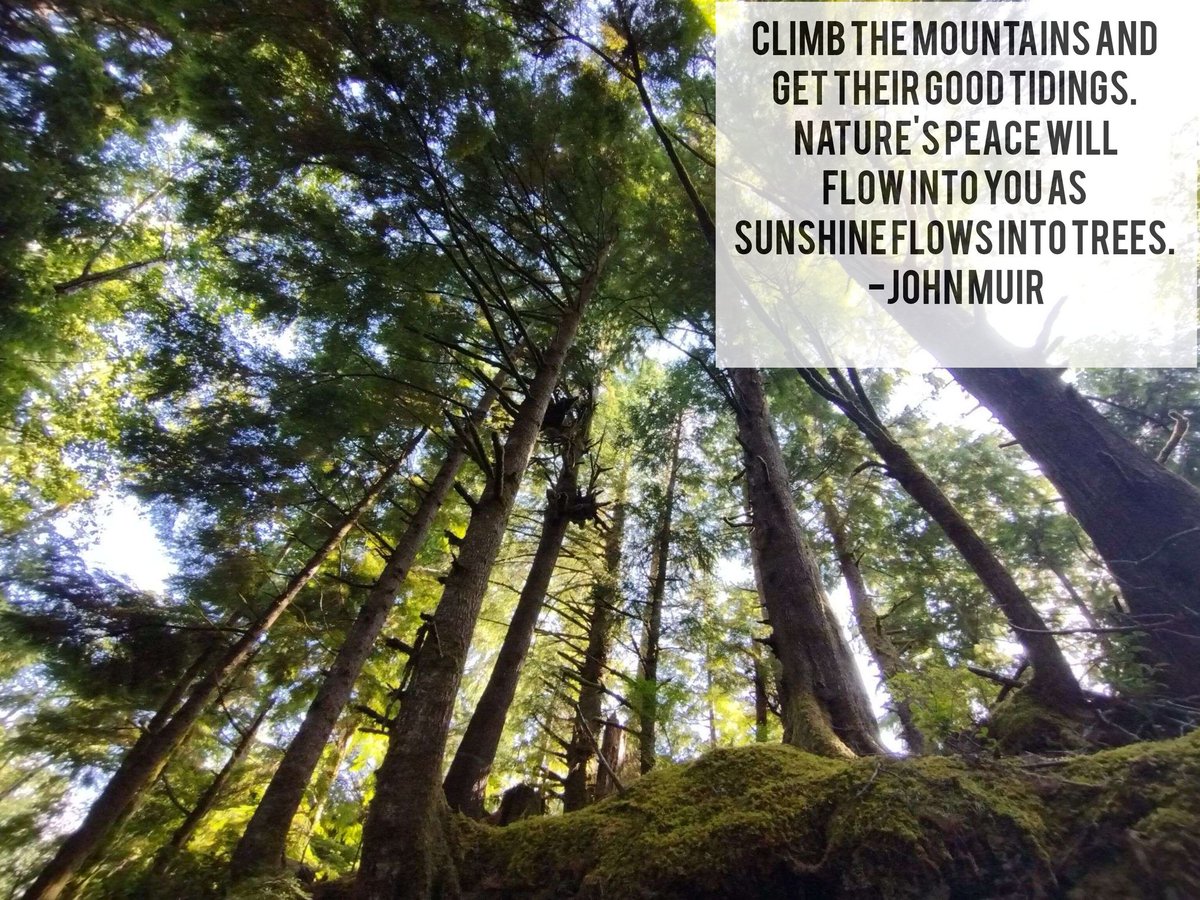 stage3crypto's tweet image. Morning Motivation! A vacation photo from my family trip to Oregon and a nice quote. -Kyle Mette / S3C Account Executive.
#Crypto #CryptoNews #Ethereum #EthereumNFTs #motivation