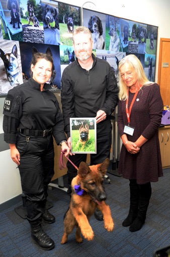 Murphy's Army tweet media