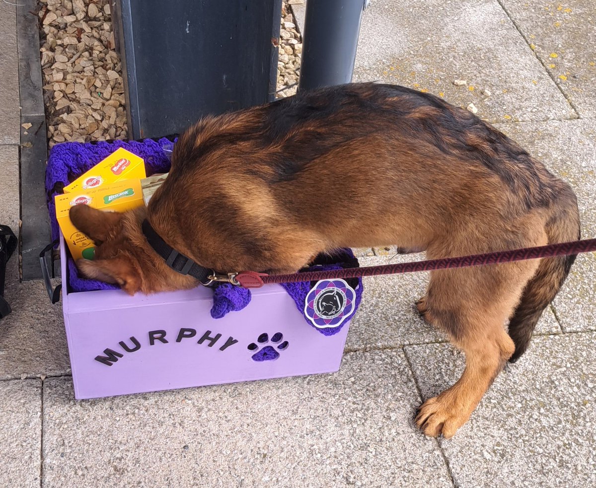 Murphy's Army tweet media