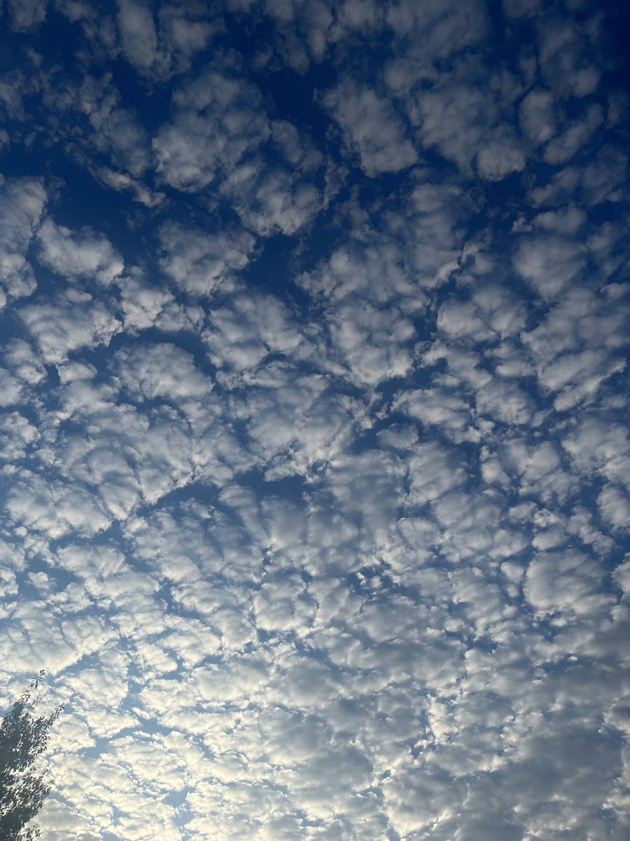 glorygalorey's tweet photo. #TodaysPlaylist (#00s hits) the sky today!!! tons of #pics from this #morning 
#skyinternet #clouds #sunrise #wednesday #dailypics https://t.co/9f7T67nYmd