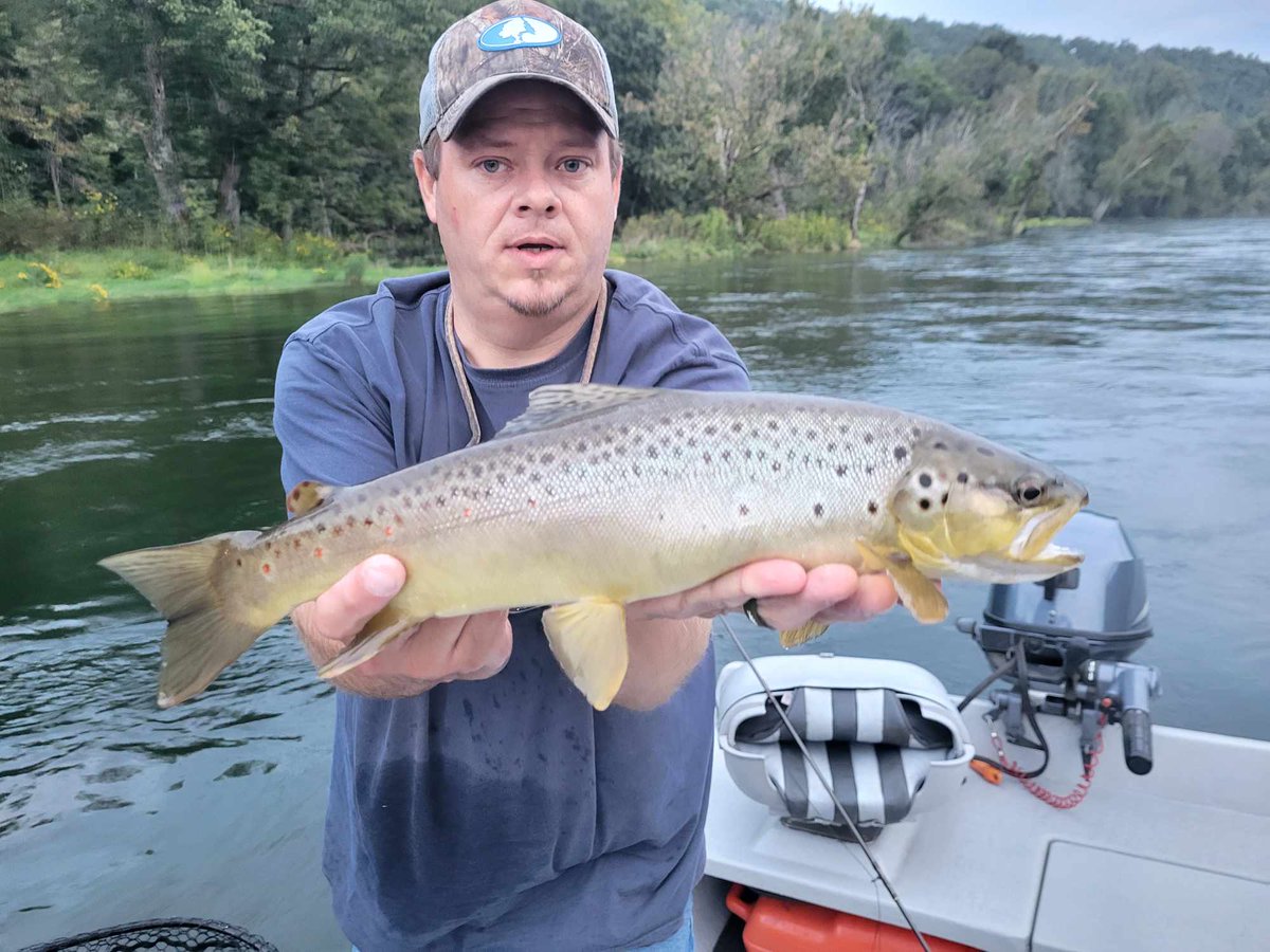 FishwithTJ's tweet photo. A fun little evening trip watching the browns sip hoppers with @ontheflywithkarenlynn!

.
.
.
.
.
.
.
.
.
.
.
https://t.co/9mWVg9wu40
.
#flyfishing #arkansas #whiteriver #browntrout https://t.co/4IwcuWIGhf