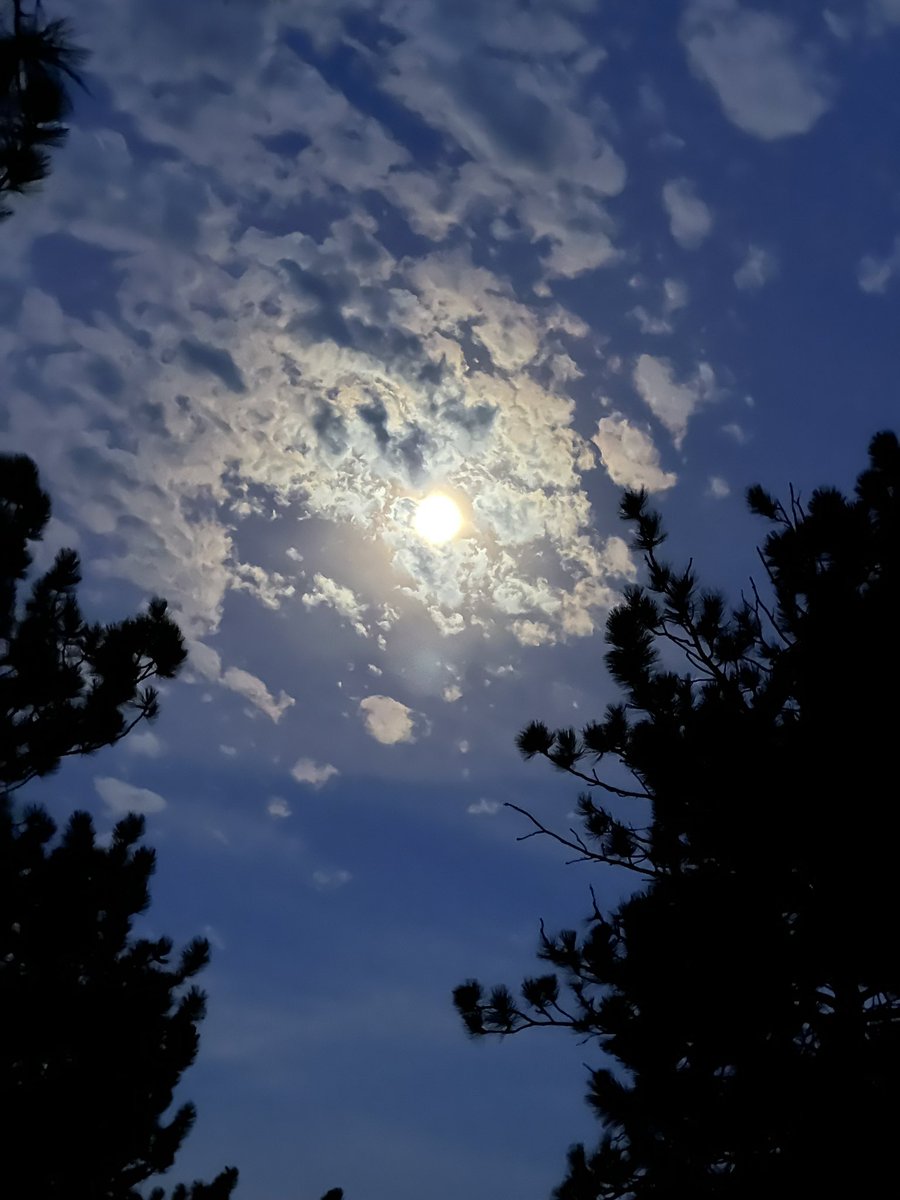 Gnomadiclife's tweet photo. Fall moon a few nights ago. #moon #fall #gnomadiclife #southdakota https://t.co/yo3eZArIor