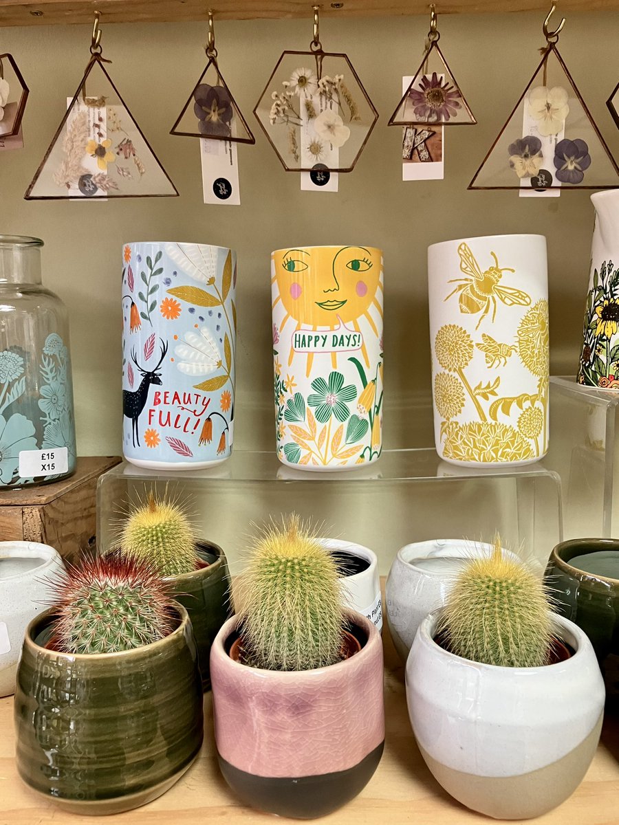 EclecticGiftSho's tweet photo. 🌞 Always the sun in Eclectic Gift Shop #positivity 

#positivevibes #positivethinking #positive #alwaysthesun #eclecticgiftshopbristol #bristol #hanham #hanhambristol #alwayssomethingnew #shelfie #shelfies #lifestylestore #happydays #cactuslove #cactusclub #cactus #happydays https://t.co/jtZ5ayvJlC
