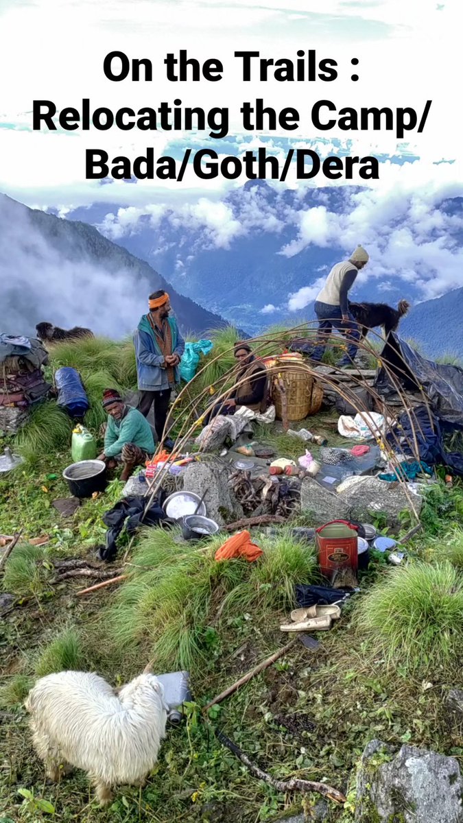 shepherdsofhim's tweet photo. As #Winter is arriving in the alpine meadows, the herders are relocating to camps in the lower altitude, on their way to the Home villages, telling stories of their days spent in the Himalayas, being grateful and hoping for a return next season.
#migration #nomads #moutains #SOH https://t.co/TKb41T5Hz1
