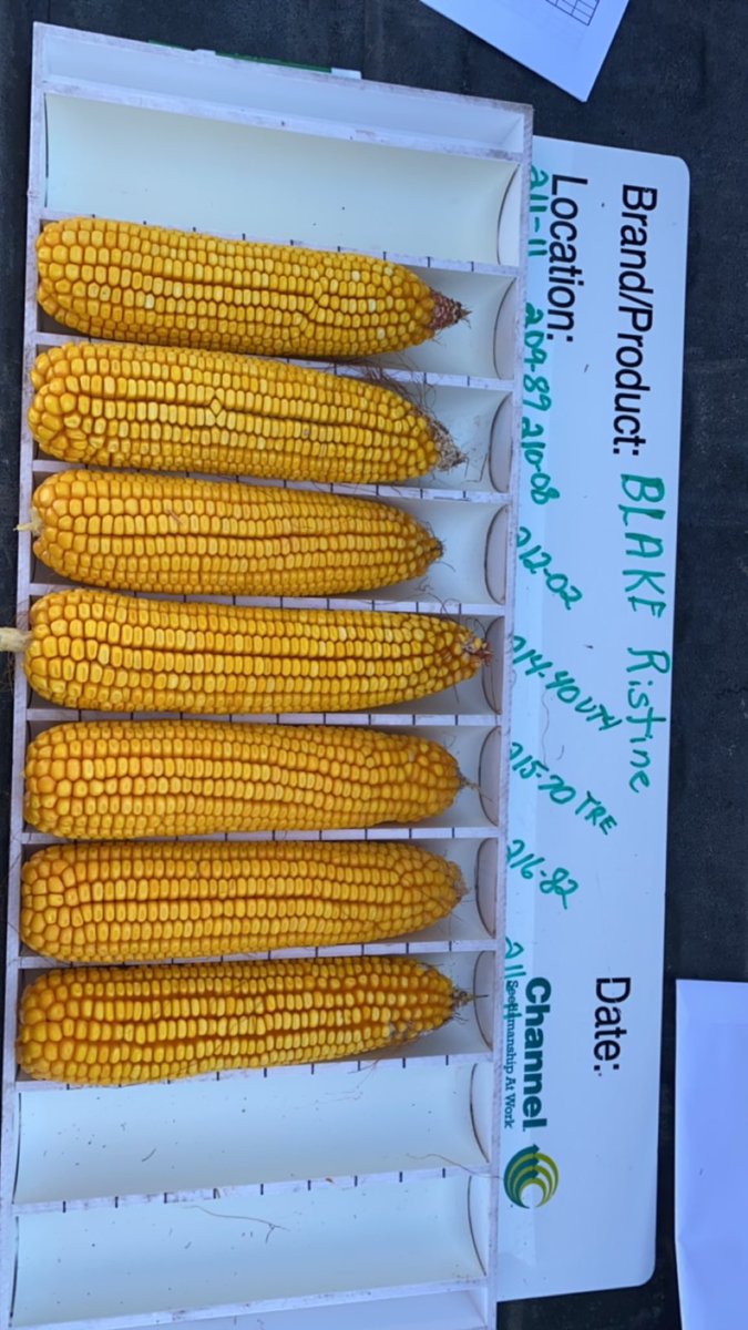 This plot will be fun to take out <a href="/ChannelSeed/">Channel Seed</a> <a href="/Channel_NE/">Channel Nebraska</a> <a href="/ristineblake113/">Blake Ristine</a> <a href="/TylerVreugdenh1/">Tyler Vreugdenhil 🌽🌱🧬🐞🦠</a>