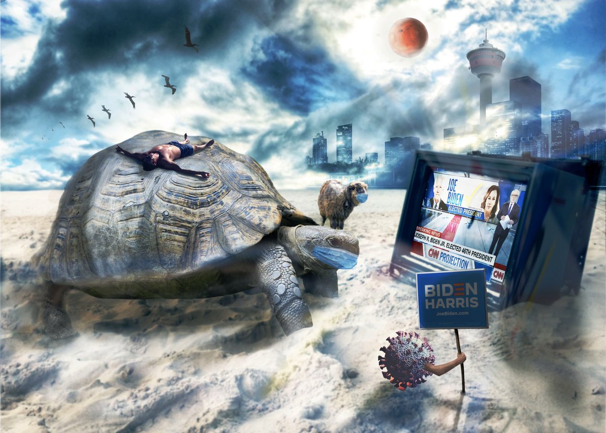 __c0d3's tweet image. Tanning on Mars rays as the sheep indulge in their daily delusion. 🐑 
#codeonx #meme #create