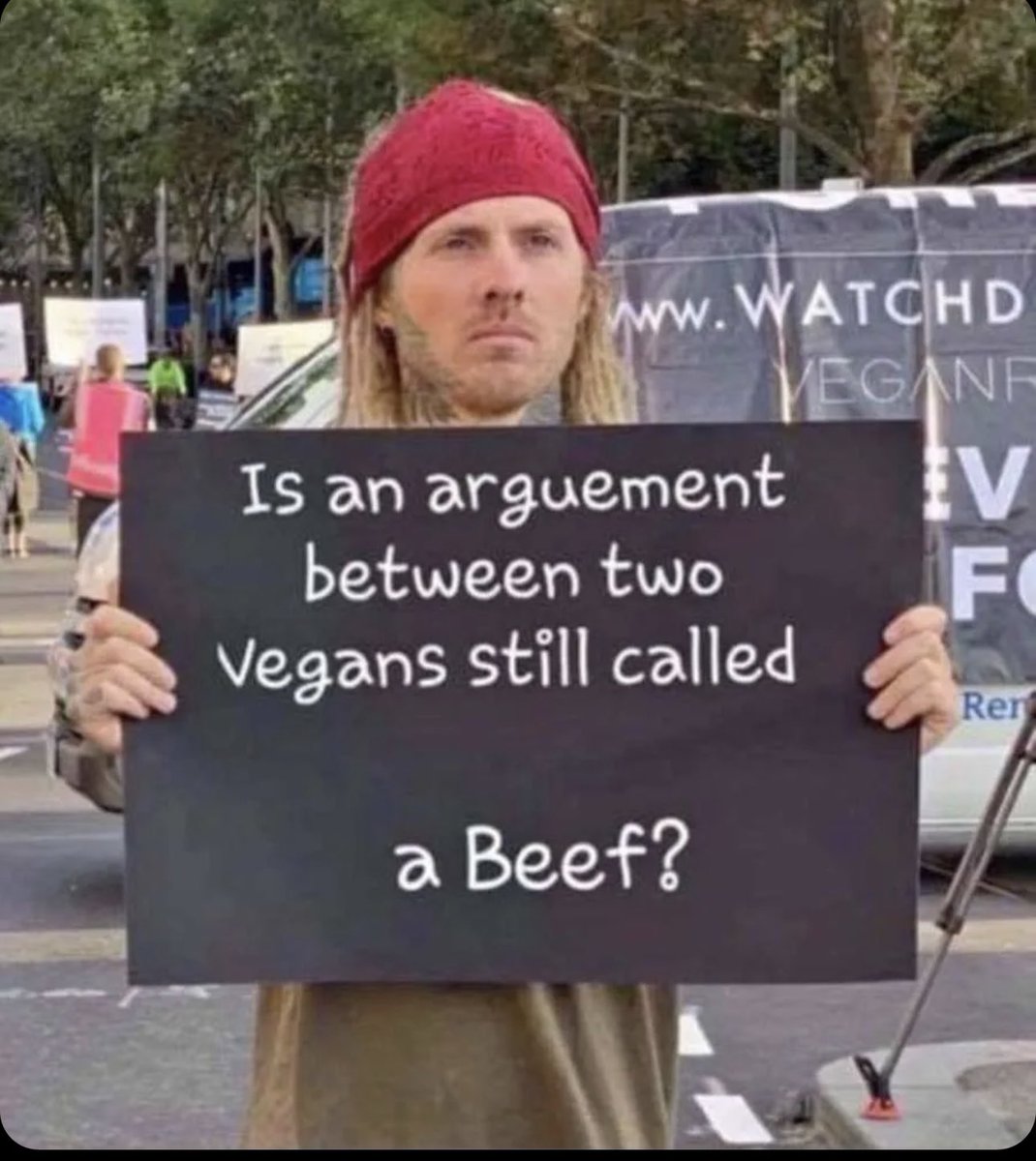 jaclyn wilson tweet media