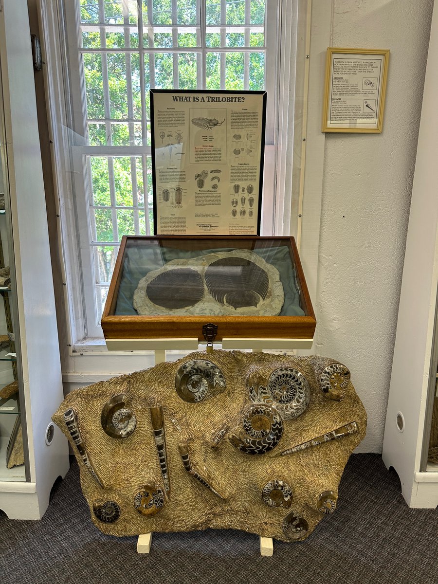 VisitNC's tweet photo. We bet you didn’t walk into the Old Macon County Jail in #FranklinNC expecting to find these gems. Then again, maybe you did? 💎

No cutting corners here – at Franklin Gem &amp; Mineral Museum, you’ll find florescent minerals, gems native to NC and even fossils from across the world! https://t.co/BY3G6VzyGN