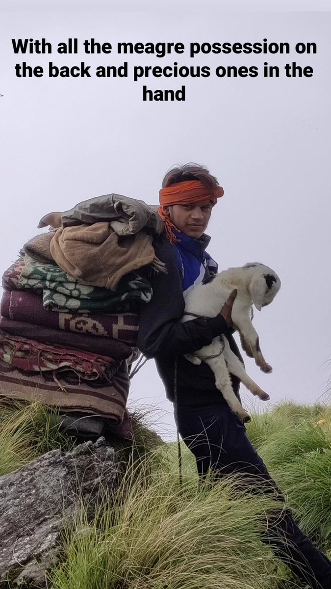 shepherdsofhim's tweet photo. As #Winter is arriving in the alpine meadows, the herders are relocating to camps in the lower altitude, on their way to the Home villages, telling stories of their days spent in the Himalayas, being grateful and hoping for a return next season.
#migration #nomads #moutains #SOH https://t.co/TKb41T5Hz1