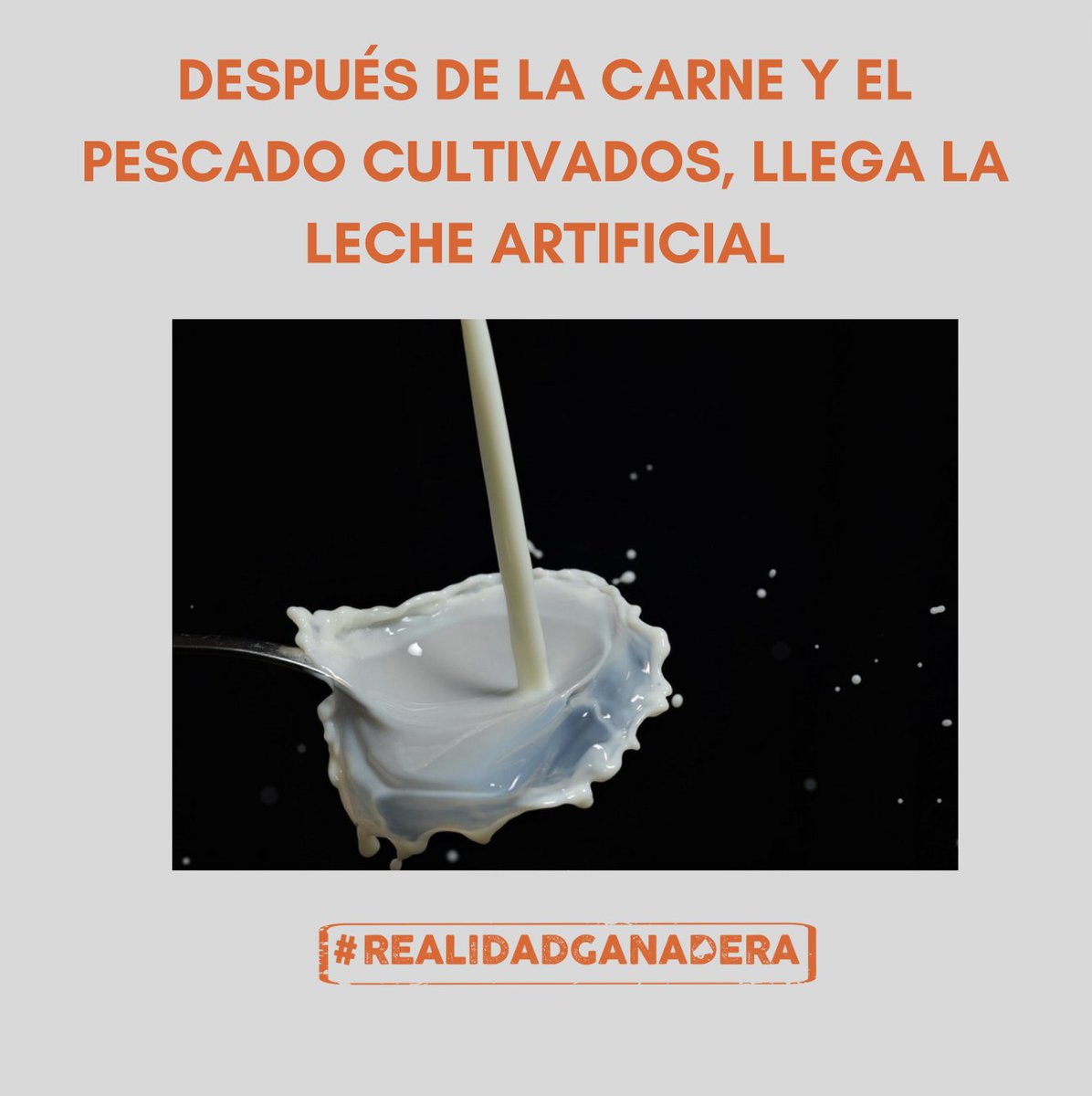 Fundación Vet+i tweet media