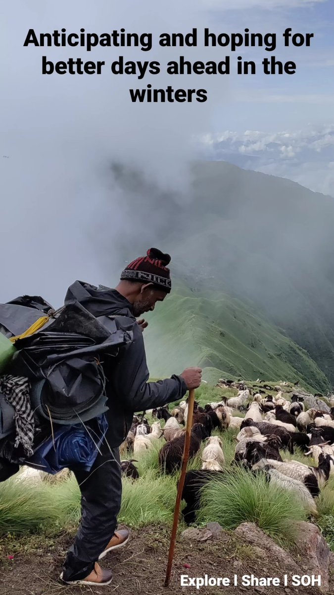 As #Winter is arriving in the alpine meadows, the herders are relocating to camps in the lower altitude, on their way to the Home villages, telling stories of their days spent in the Himalayas, being grateful and hoping for a return next season. #migration #nomads #moutains #SOH
