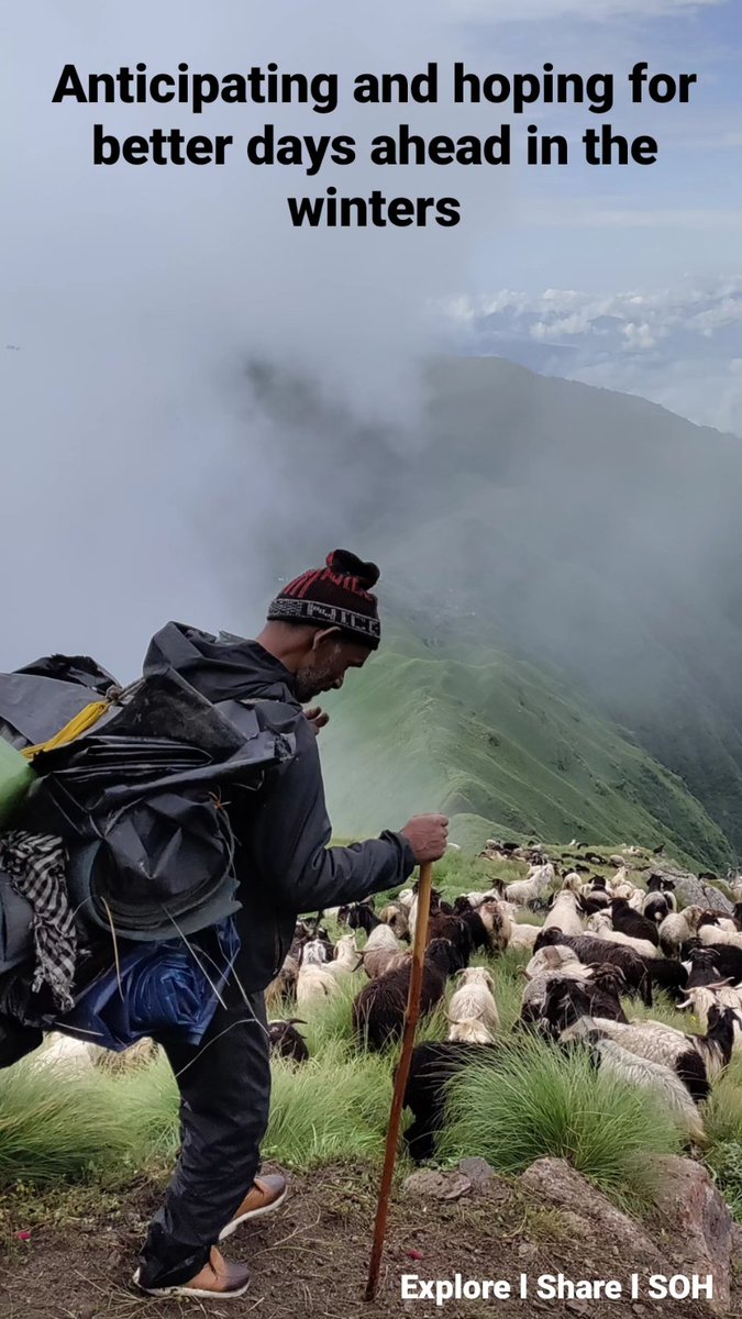 shepherdsofhim's tweet photo. As #Winter is arriving in the alpine meadows, the herders are relocating to camps in the lower altitude, on their way to the Home villages, telling stories of their days spent in the Himalayas, being grateful and hoping for a return next season.
#migration #nomads #moutains #SOH https://t.co/TKb41T5Hz1
