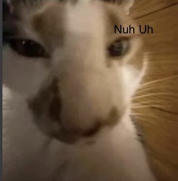 TStorm41's tweet photo. @ShitpostGate https://t.co/LsOd1U0USy