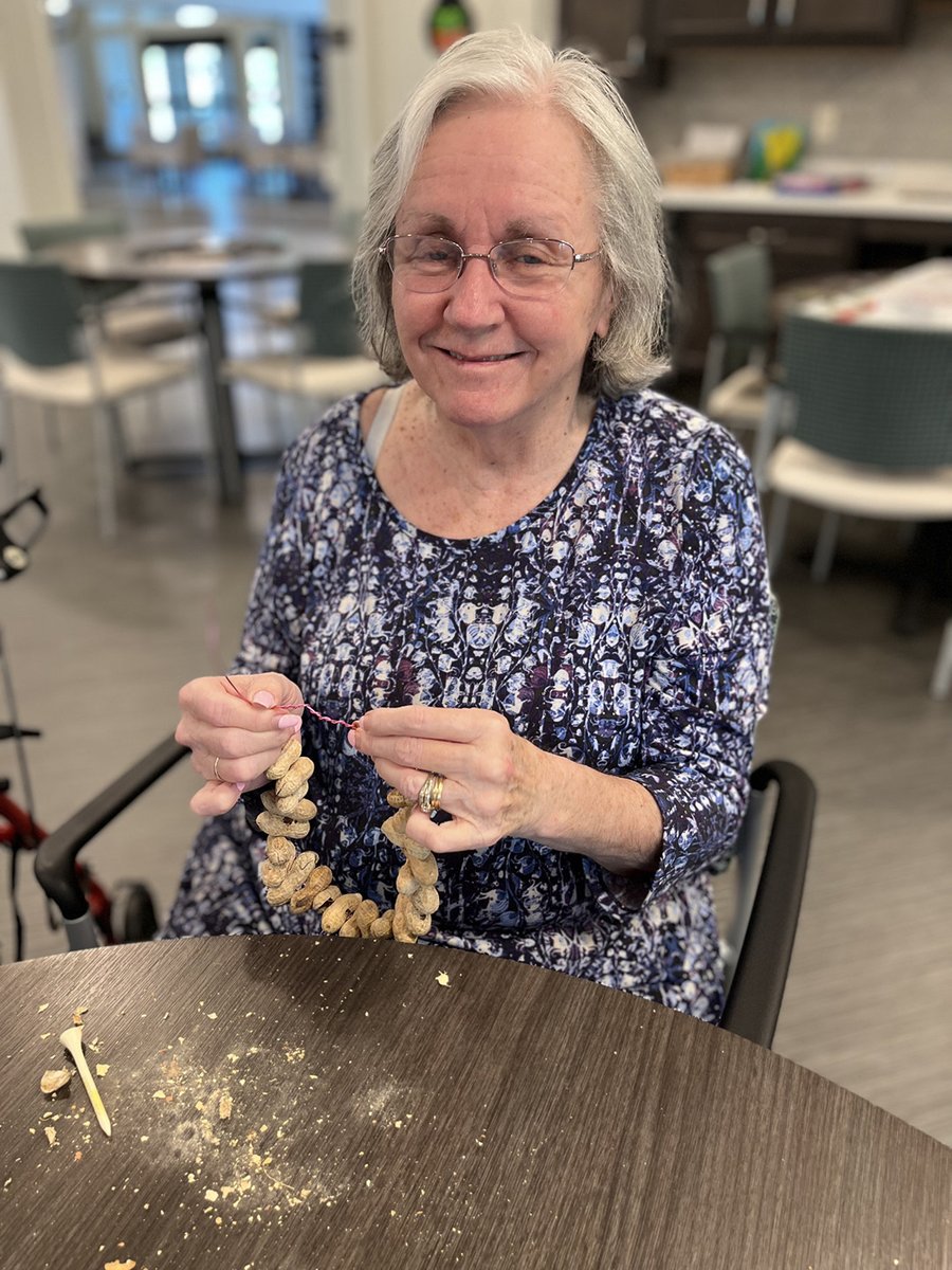 How cute are these bird feeders?🥜