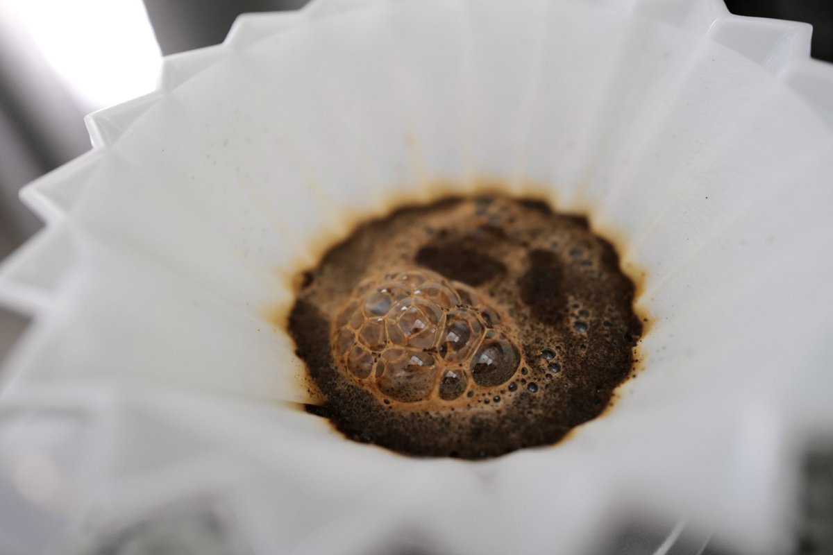 solidgroundcof2's tweet photo. Wednesday morning bloom! 
.
.
.
.
.
#cafelatte #coffee #coffeeaddicts #coffeebar #coffeebean #coffeecommunity #coffeeculture #coffeedaily #coffeegeek #coffeeislife #coffeepeople #coffeephotography #coffeeporn #coffeeprops #coffeeroaster #coffeeroasters #coffeesesh #coffeeshots https://t.co/ZPokpIVP6R