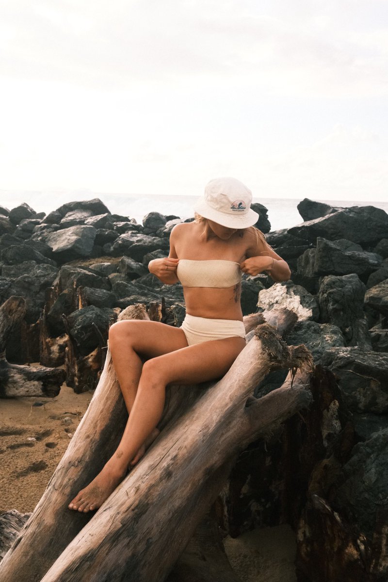 lopezgen_'s tweet photo. 🐚
.
.
📸 @DJAB_1998 https://t.co/VsHWOTnGGI