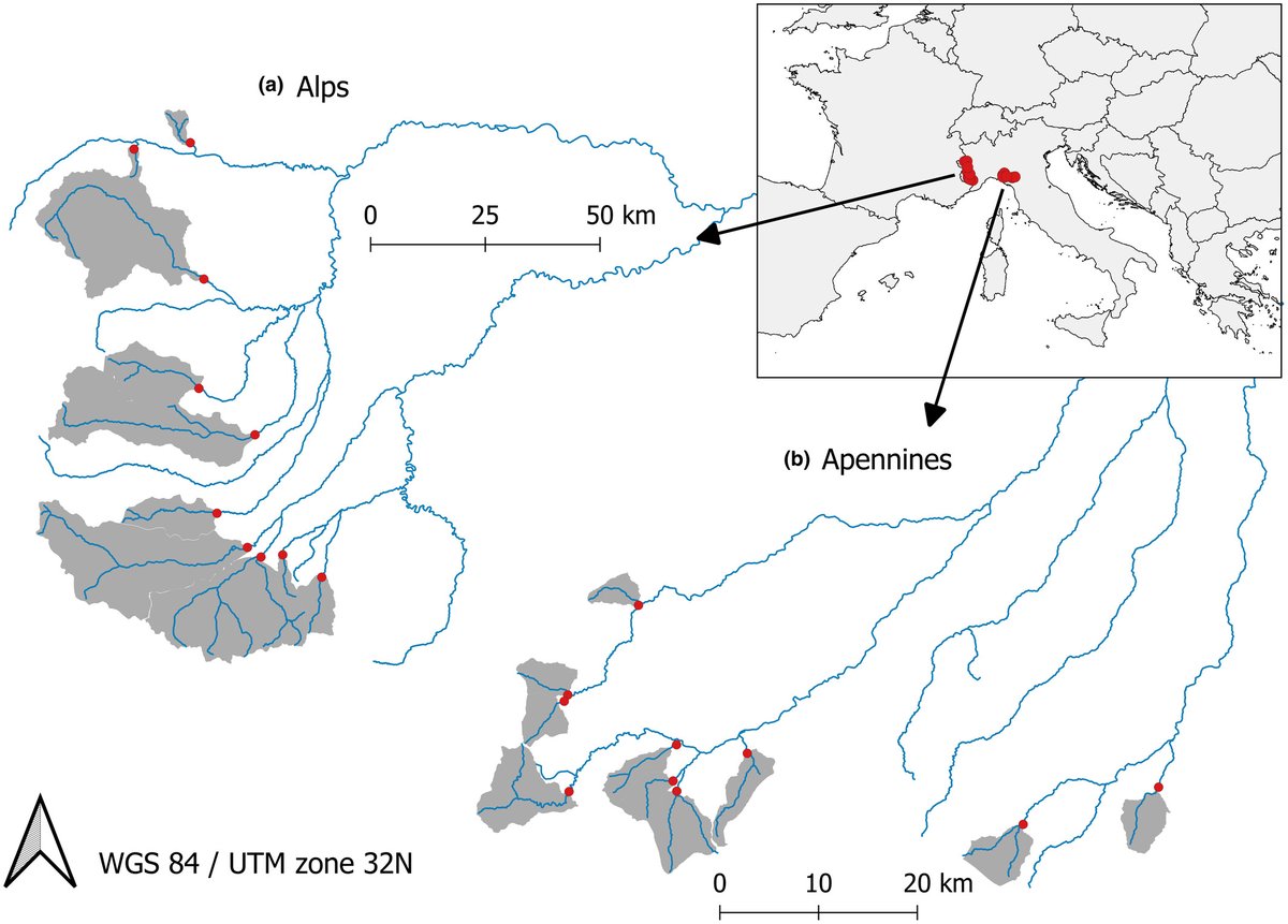 Variation in macroinvertebrate biomass in Northern Italy's mountain regions are explained by basin-scale factors, mainly precipitation. Climatic factors control energy flow to higher trophic levels, impacting downstream areas and terrestrial ecosystems. doi.org/10.1111/jbi.14…