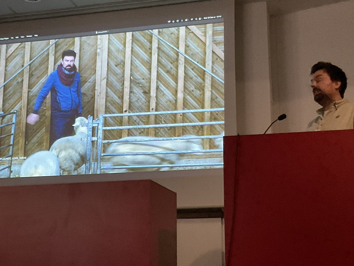 katjaQheuer's tweet photo. Wonderful talk by @love_a_scott on fMRI in awake sheep without constraints and with a cuddly reward ๐ค
#compMRI @R3RT0 @NeuroecologyLab @AssafLab
With @EloChail and Camille Pluchot https://t.co/BgnzvYOv4D