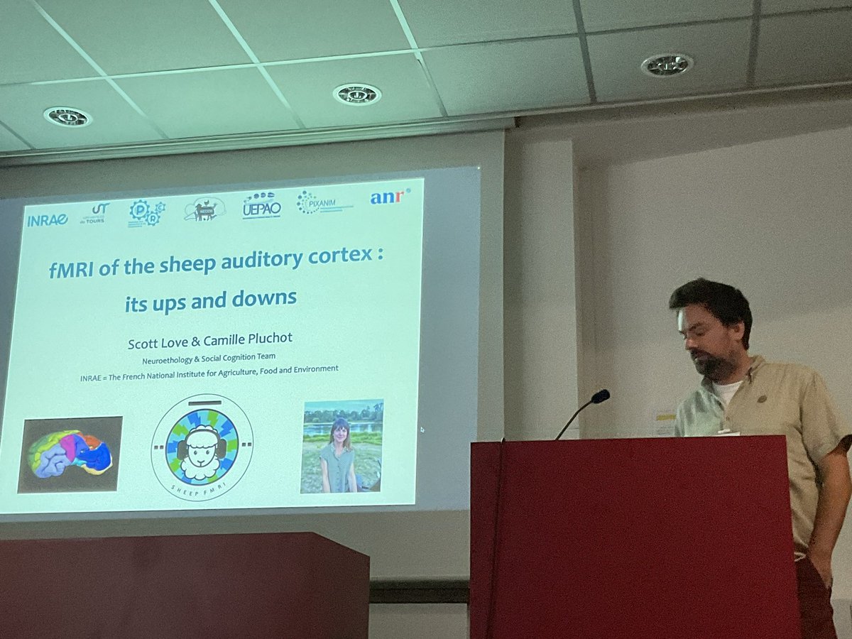 katjaQheuer's tweet photo. Wonderful talk by @love_a_scott on fMRI in awake sheep without constraints and with a cuddly reward ๐ค
#compMRI @R3RT0 @NeuroecologyLab @AssafLab
With @EloChail and Camille Pluchot https://t.co/BgnzvYOv4D