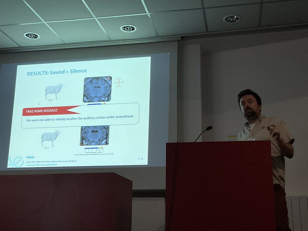 katjaQheuer's tweet photo. Wonderful talk by @love_a_scott on fMRI in awake sheep without constraints and with a cuddly reward ๐ค
#compMRI @R3RT0 @NeuroecologyLab @AssafLab
With @EloChail and Camille Pluchot https://t.co/BgnzvYOv4D